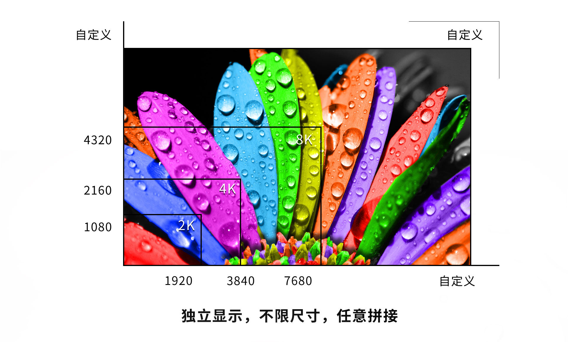 小飞侠详情页(1125)_06.jpg